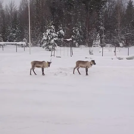 Frühstückspension Aittoranta *