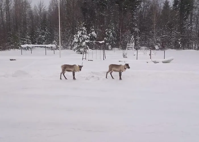 Bed and Breakfast Aittoranta *